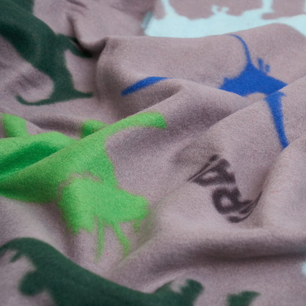Kids Fleece Soft Throw - Multi Dino